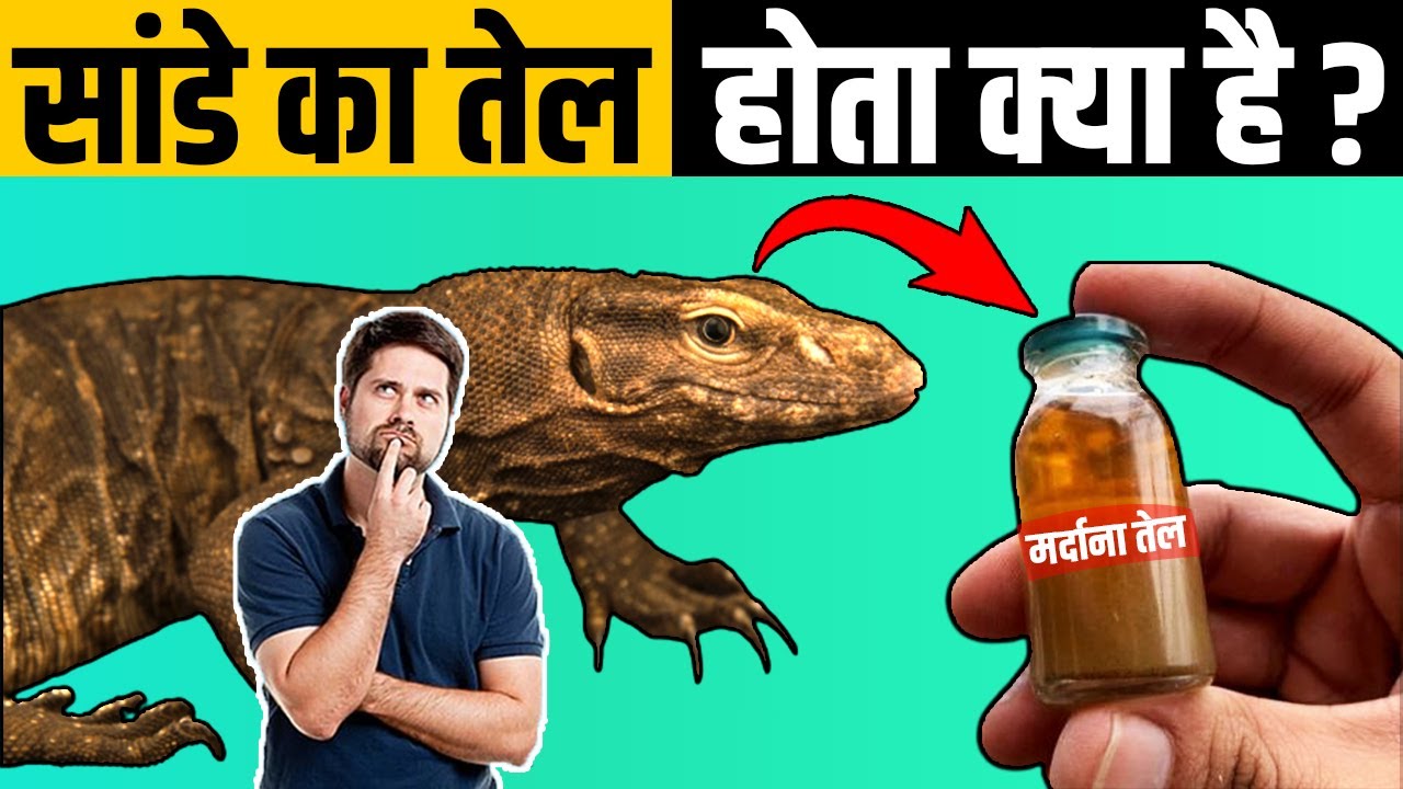 unknown-facts-in-hindi-factified-hindi