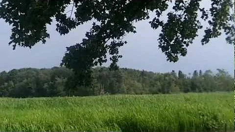 Reconnaissance of Harold N. Peek Preserve Video.