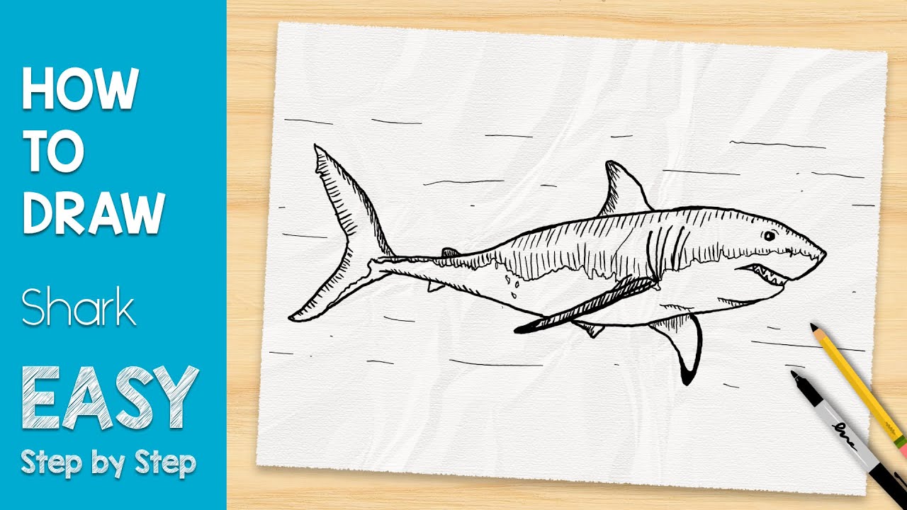 How to Draw a Shark in 5 MINUTES Easy Step by Step - YouTube