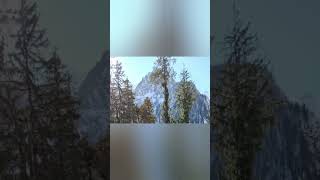 #shimla monali trip chill heavy snow fall 🌧️