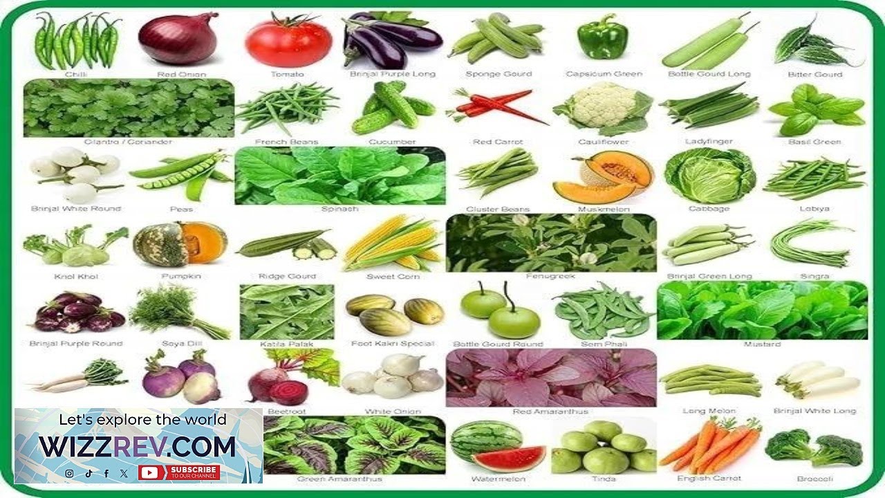 50 Varieties of Vegetable Fruits & Herbs Seeds for Kitchen Garden - YouTube