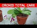 Orchid  complete care with english subtitle