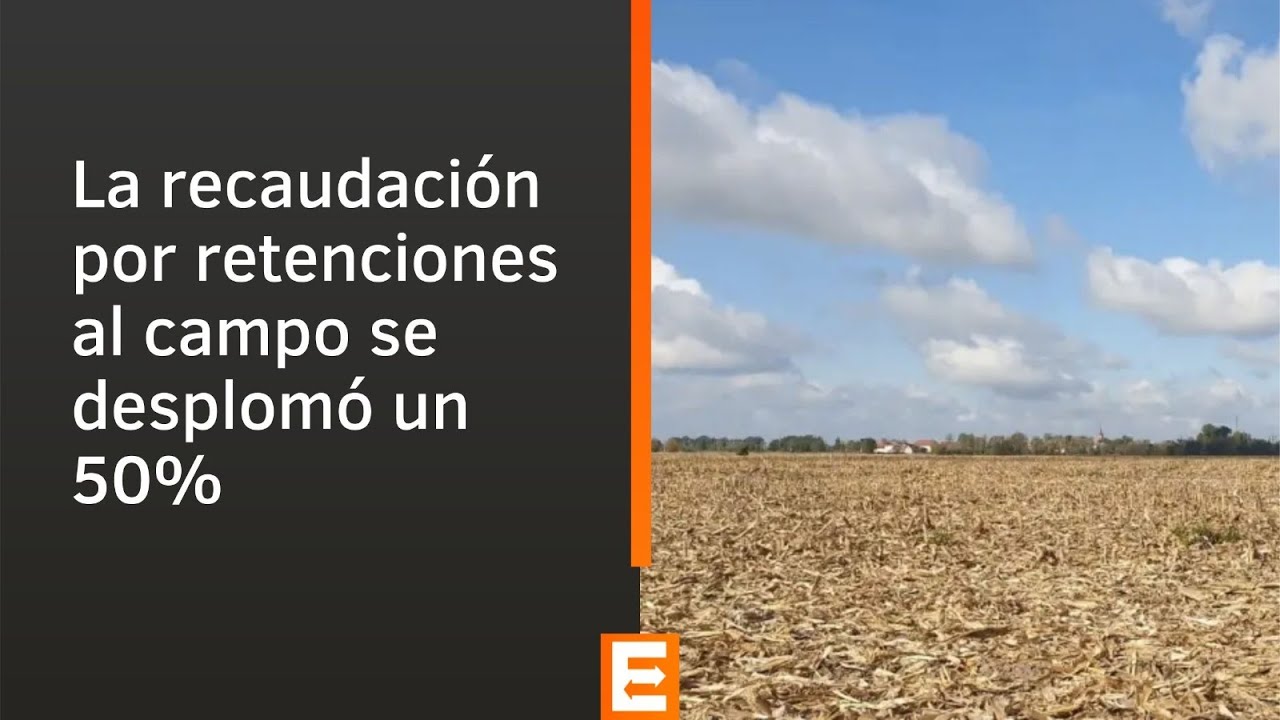 La recaudación por retenciones al campo se desplomó un 50% - YouTube