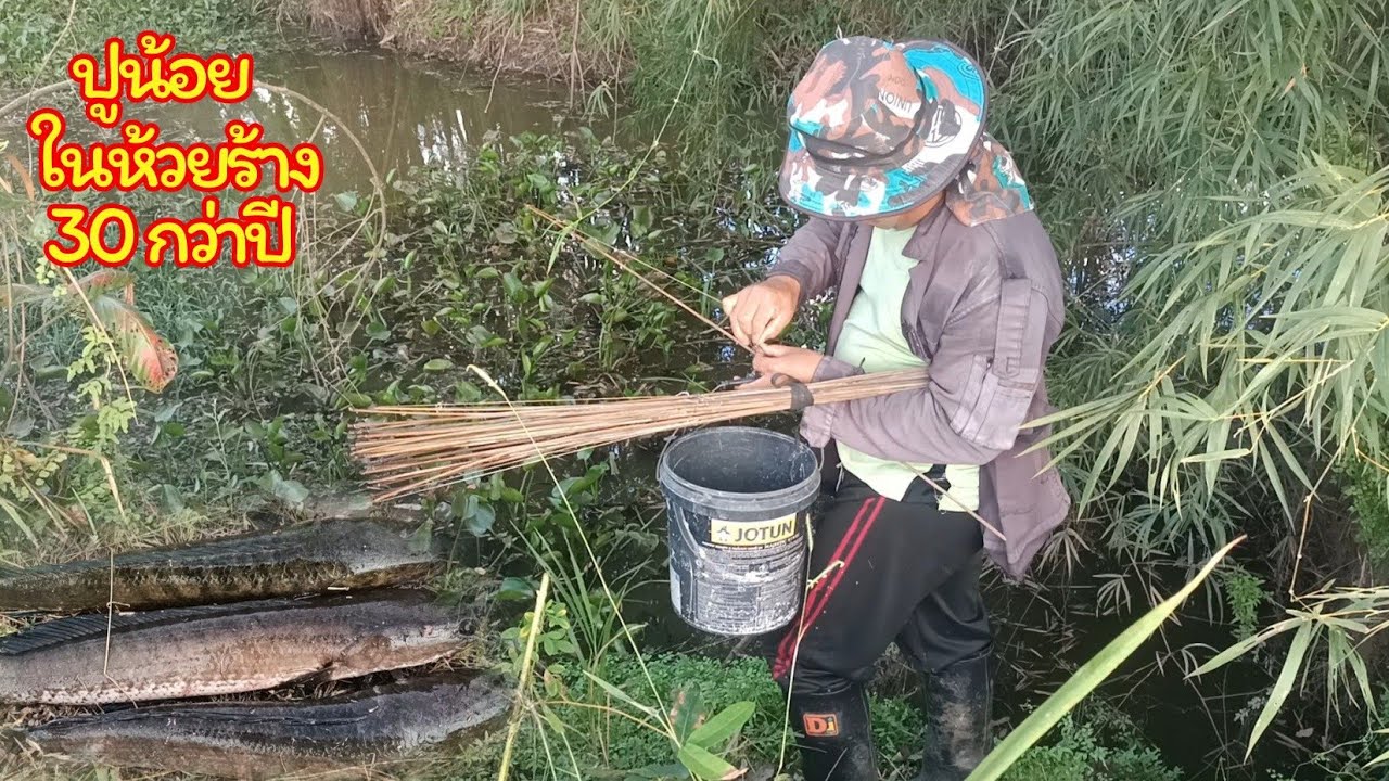 ขุดปูน้อย 