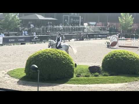 Chilli Pepper Z Grand Prix CSI1* Opglabbeek