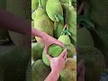 jackfruit cutting #shorts