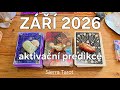 V&yacute;klad karet 🃏 CO SE AKTIVUJE V Z&Aacute;Ř&Iacute;?💞💫Na co se te&scaron;it?i🌟Jsi na shodn&eacute; frekvenci🔊 Koherence funguje!