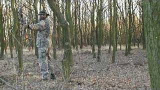 Mathews Drenalin