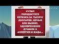 Себя продавала! Прикольный анекдот дня!