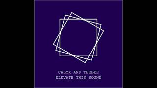 Calyx And Teebee  - Elevate This Sound