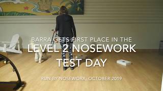 Barra at Level 2 Nosework Test Day (first place)