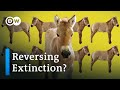 Cloning and Conservation Quiz