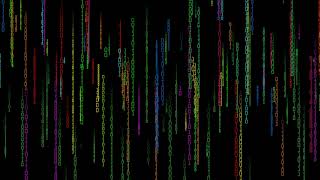 Binary rain - short clip Net Worth