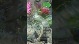 Minecraft Eclipse Shader has the most realistic water