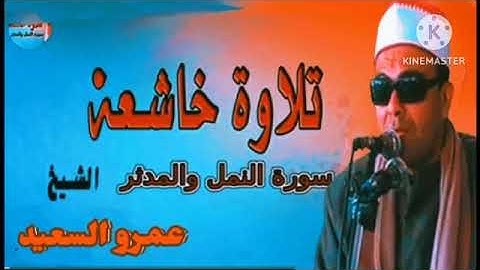 الشيخ عمرو السعيد قارئ جمهورية مصر العربية ماتيسر من سوره النمل
