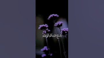 القارئ ياسر الدوسري _ ويل لكل أفاك أثيم#قرآن #اكسبلور #إستمع