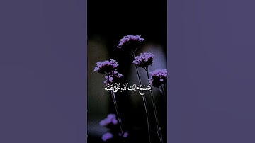 القارئ ياسر الدوسري _ ويل لكل أفاك أثيم#قرآن #اكسبلور #إستمع