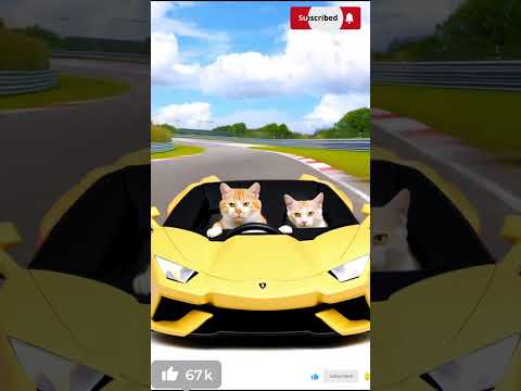 2026 2026 2026   2026  