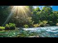 Pure Serenity River ASMR 🌊 No Rain No Music – Calm Water Sounds for Deep Sleep