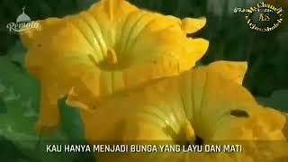 Perempuan itu ibarat Bunga -  Ustadz Abdul Somad Lc ma