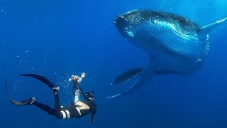 Little Kids Swimming with BIG WHALES!! /// Ultimate Tonga Bucket List Adventure!!