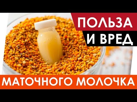 Маточное молочко - Польза и Вред. Полезные свойства маточного молочка. Чем полезно? Свойства