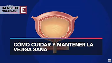 ¿Qué puedo beber para limpiar la vejiga?