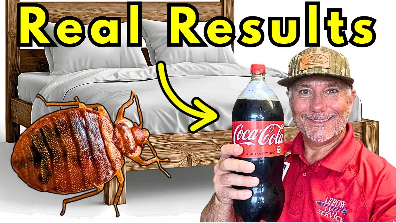 Самодельная ловушка для постельных клопов, которая действительно работает!