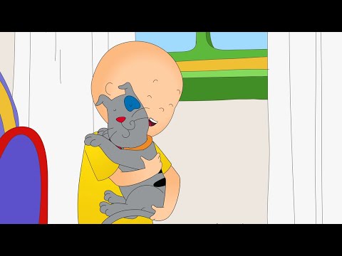 Where Is Gilbert Cartoons For Kids Caillou New Adventures