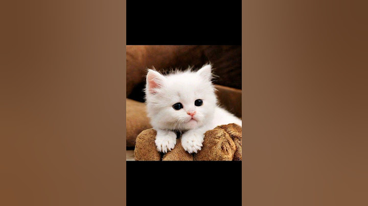Оцени меня от 0 до 10 ♥️❤️.