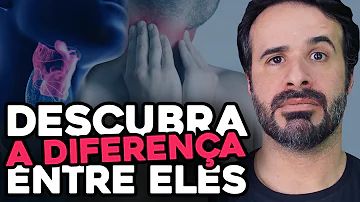 Quais são os músculos intrínsecos da língua?