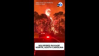Wildfires ravage North, South Carolina