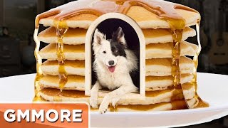 How To Build A Pancake Dog House