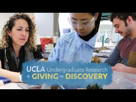 Undergraduate Researchers Thrive at UCLA