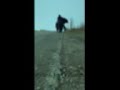 نشالله العوده يزوار رضا حالات واتساب نشالله العوده يزوار رضا حالات واتساب