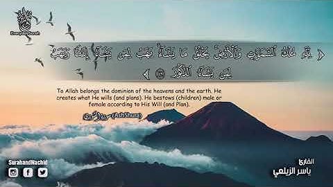 سورة الشورى كاملة ديباج القرآن تلاوة جميلة بصوت يأسر القلب❤️ ياسر الزيلعي Surah Ash Shuraa