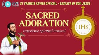 Adoration of the Blessed Sacrament 🙏  Healing, Peace & Rest in Jesus  - 21 May