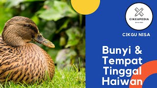 Dunia Prasekolah | Sains Awal | Bunyi Haiwan | Tempat Tinggal Haiwan | Cikgu Nisa