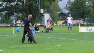 ADRIAN STOICA FINALE DISC DOG EUROPEO 2013
