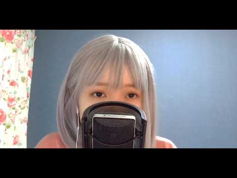 Spitz - Kaede ( 楓 )