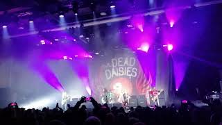 The Dead Daisies - Make Some Noice - Rock Out Festival Augsburg - 15.12.2023