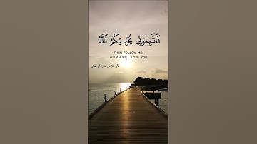 قل إن كنتم تحبون الله فاتبعوني يحببكم الله ويغفر لكم ذنوبكم والله غفور رحيم   القارئ فارس عباد   الت