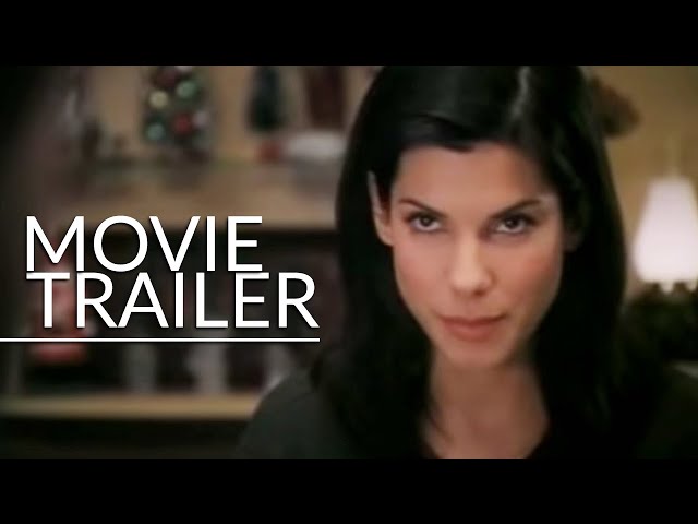 All The Right Movies on X: Happy birthday SANDRA BULLOCK. One of the most  famous actresses of her generation, what's your favourite role of hers?   / X