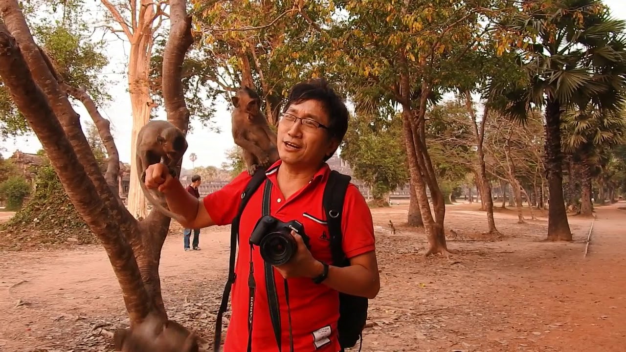 The Best, The Lonely Monkey video arrives in the year 2020