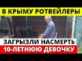 Дедушка выпустил ротвейлеров из вольера погулять