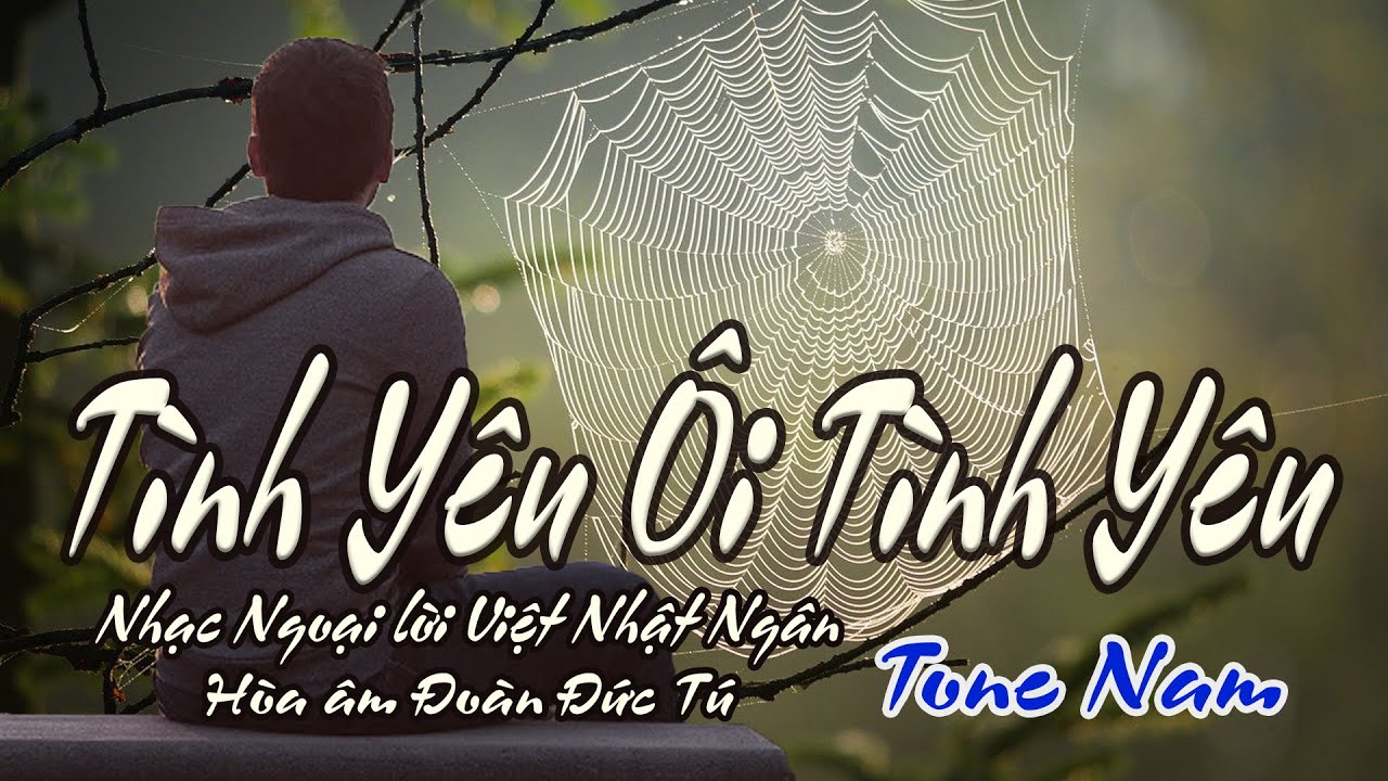 karaoke Tình Yêu Ôi Tình Yêu_ Nhạc Ngoại_ Lời Việt Nhật Ngân_ Hòa âm Đoàn Đức Tú_ Giọng Nam