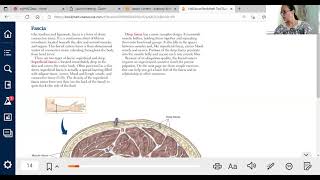 Exploring Textural Differences of Structures part 2 0