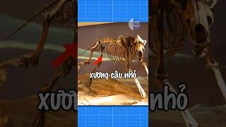 TẠI SAO CON NGƯỜI KHÔNG CÒN THÍCH HỢP ĐỂ SỐNG NGOÀI TỰ NHIÊN | #fact #funfacts