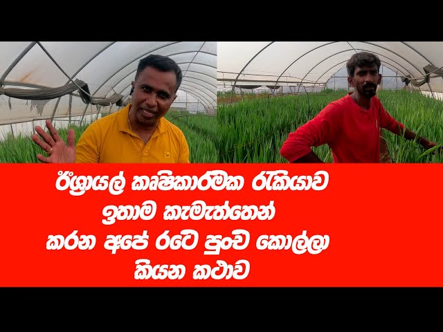 Laki  lk Israel   ඊශ්‍රායල් කෘෂිකාර්මික රැකියාව ඉතා කැමැත්තෙන් කරන අපේ රටෙි පුංචි කොල්ලා කියන කථාව