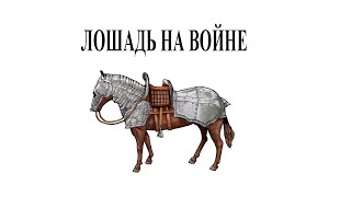 Лошадь на войне. Что нужно знать о конях, чтобы понимать историю.